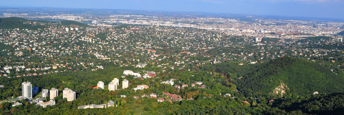 budapest_forest_walk_4.png