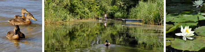 canoe_trips_2.png