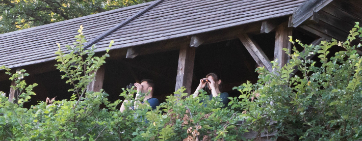 wildlife_watching_1.png